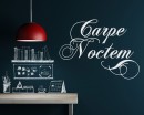 Carpe Noctem - A Latin phrase meaning "Seize the Night" 